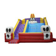 gaint inflatable slide